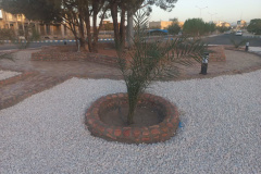 باز طراحی و نوسازی میدان کریمان با تکیه بر صرفه جویی در مصرف آب