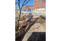 اجرای فاز سوم طرح جامع شبکه برق اضطراری دانشگاه